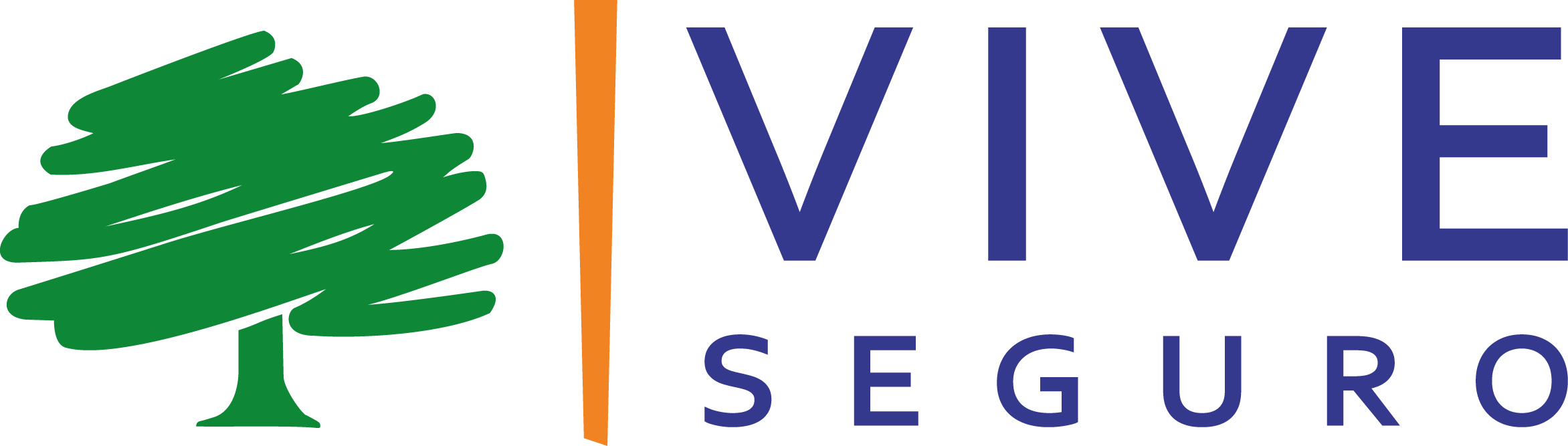 Logotipo-VIVE-Seguro.png